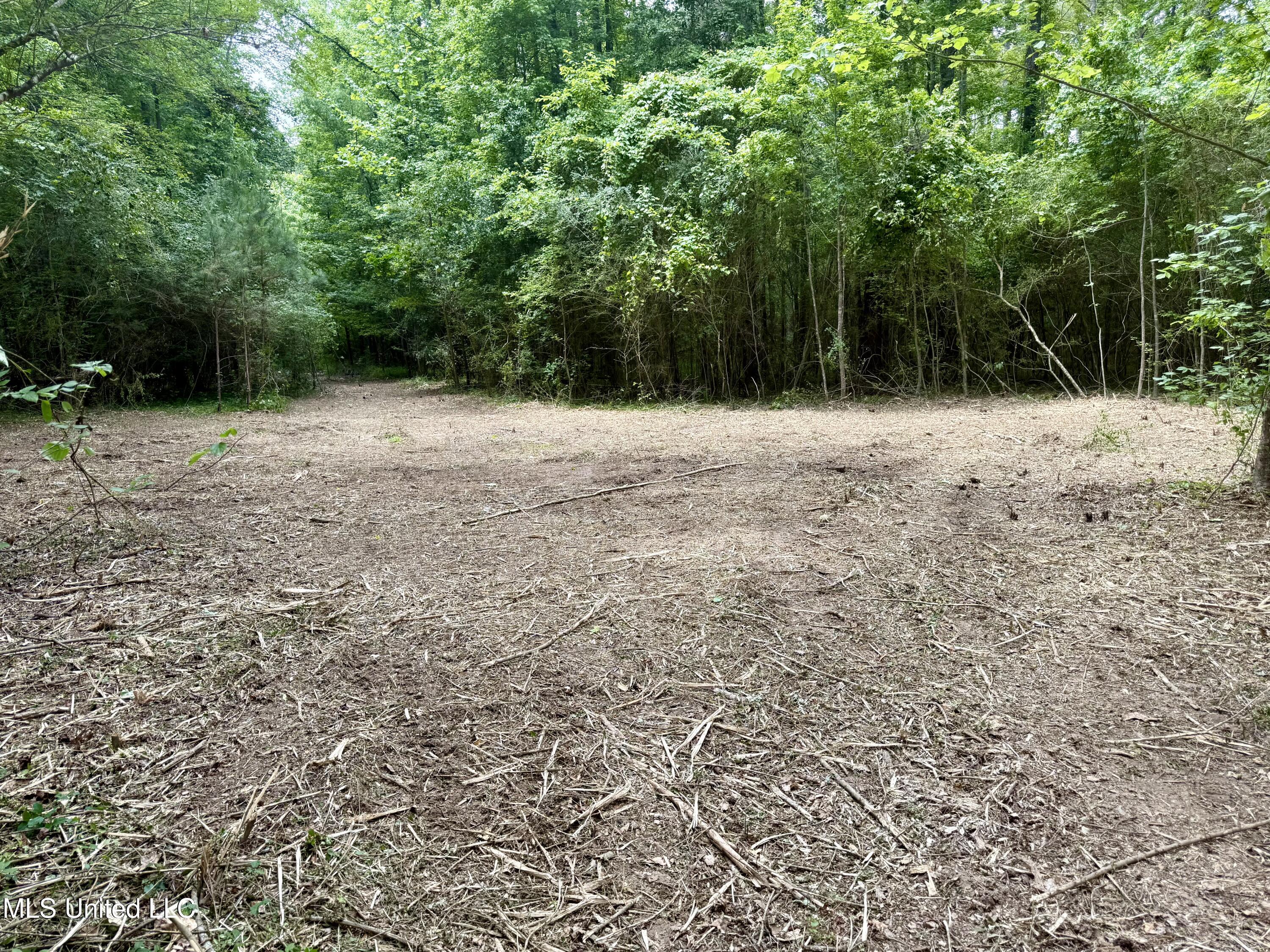 Stephens Rd, Durant, Mississippi image 3