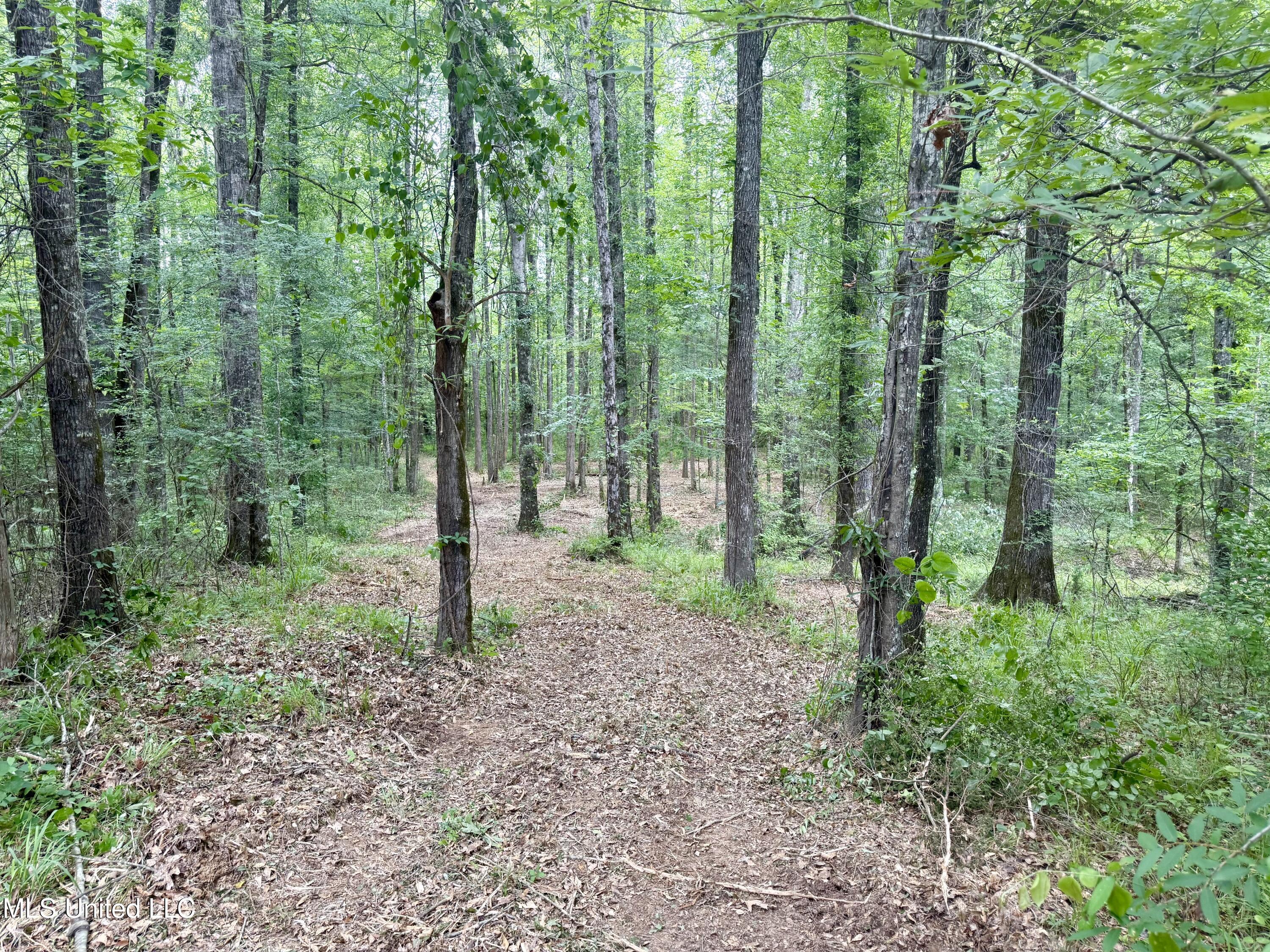 Stephens Rd, Durant, Mississippi image 7