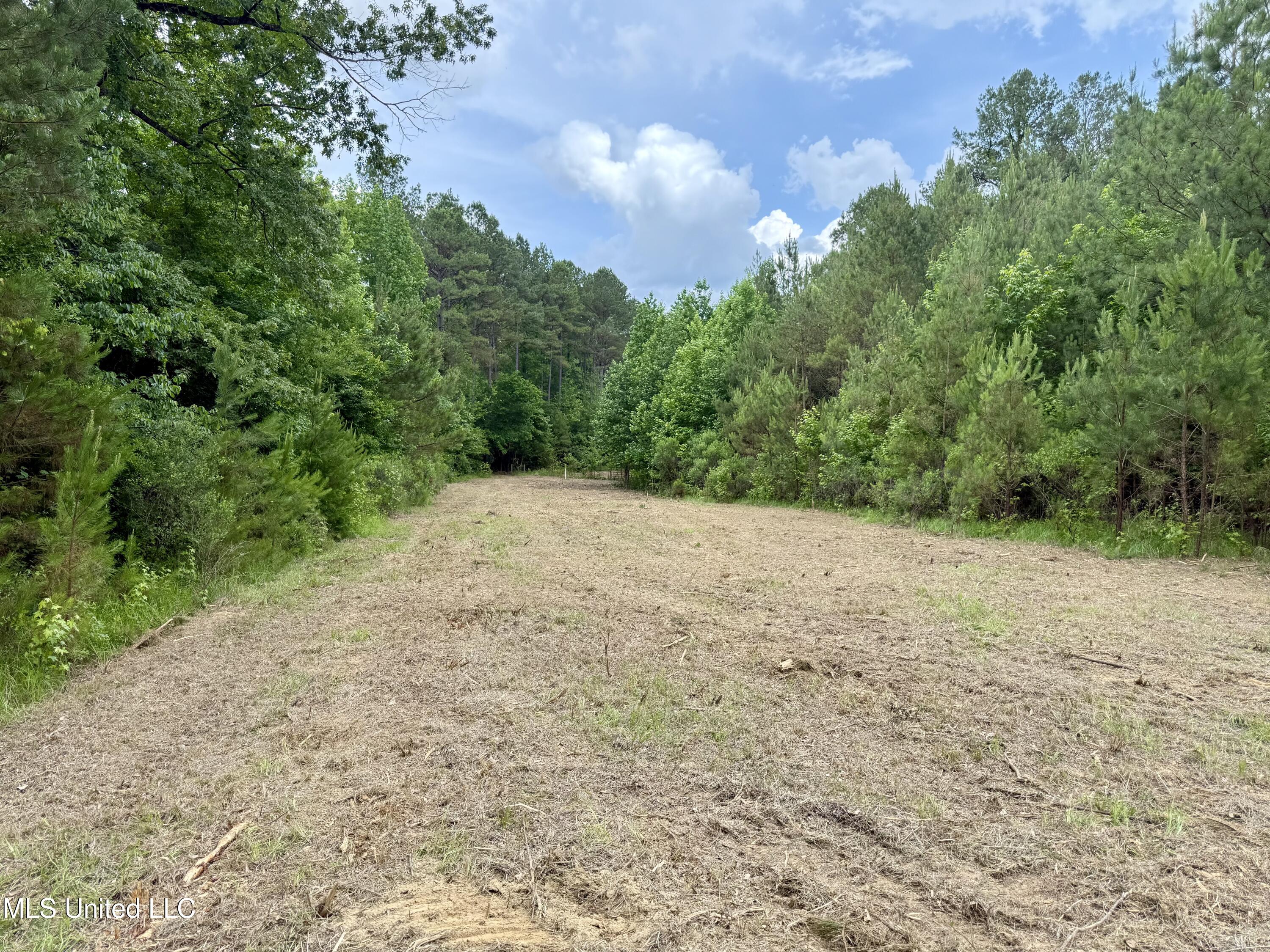 Stephens Rd, Durant, Mississippi image 8