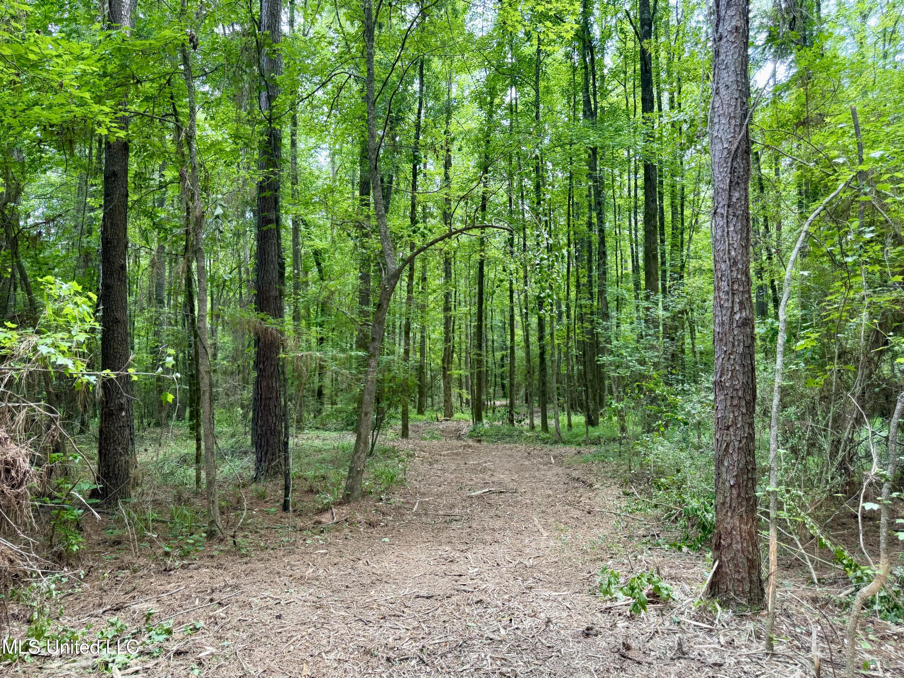Stephens Rd, Durant, Mississippi image 13