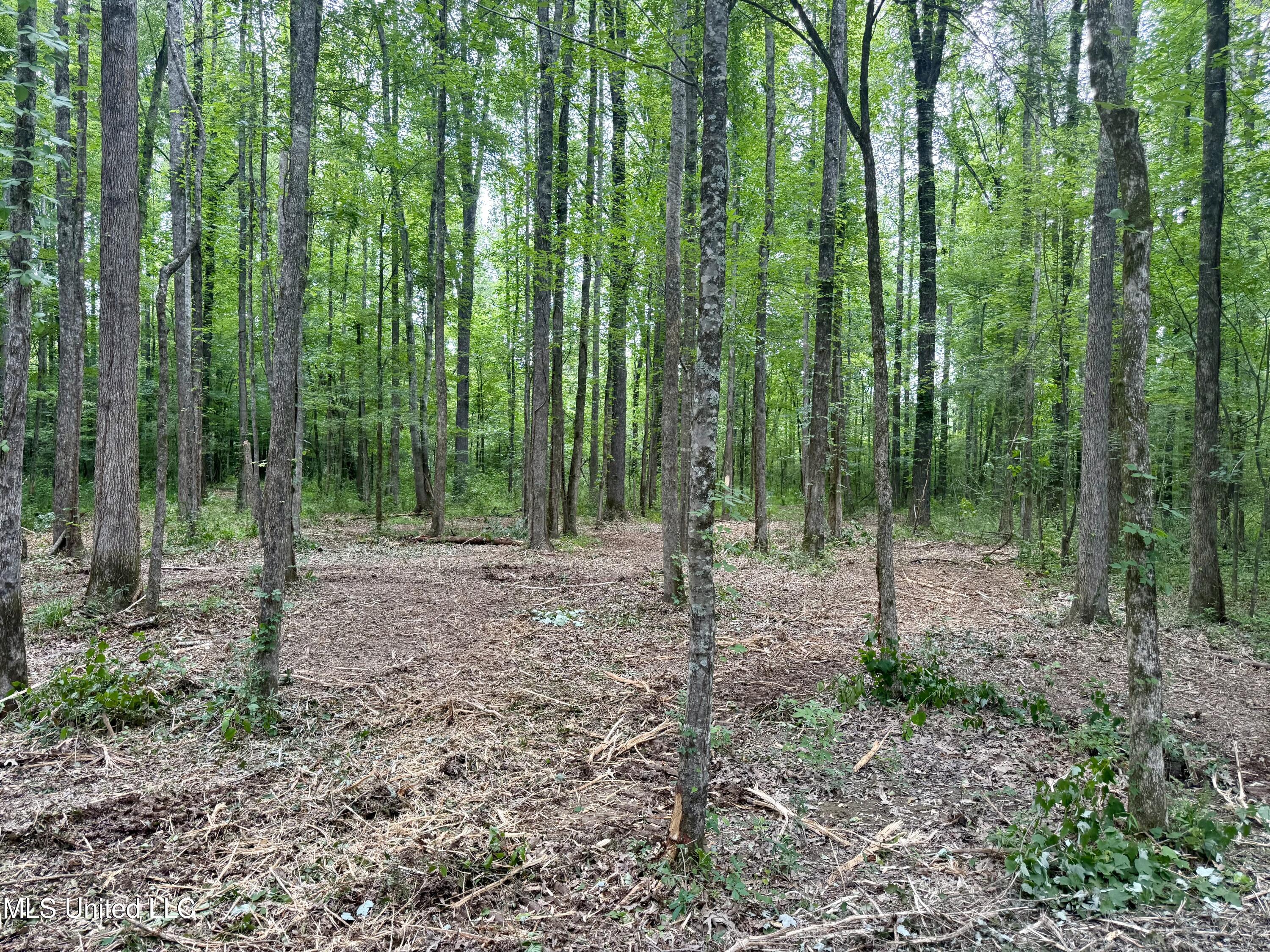 Stephens Rd, Durant, Mississippi image 6