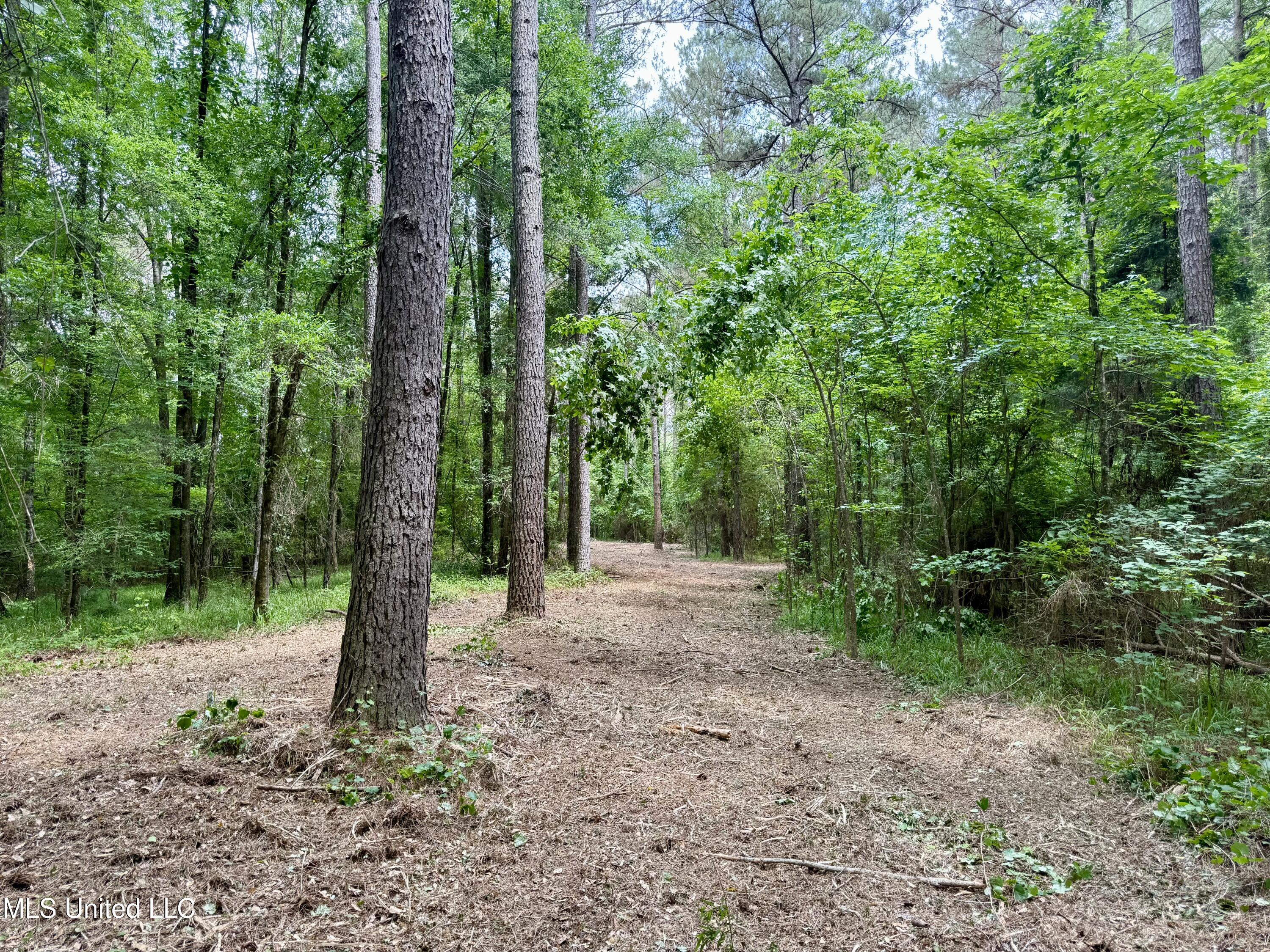 Stephens Rd, Durant, Mississippi image 2