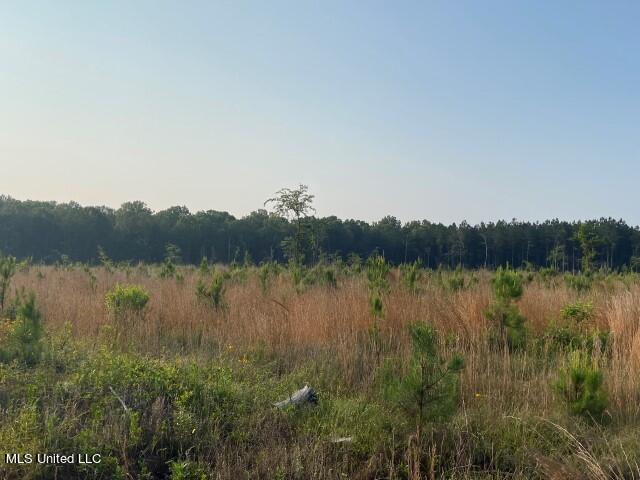 Barker Road, Pelahatchie, Mississippi image 16