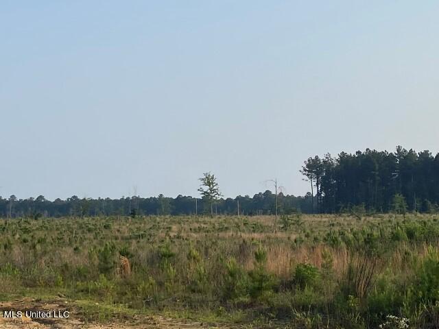 Barker Road, Pelahatchie, Mississippi image 13