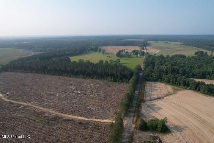 Barker Road, Pelahatchie, Mississippi image 8