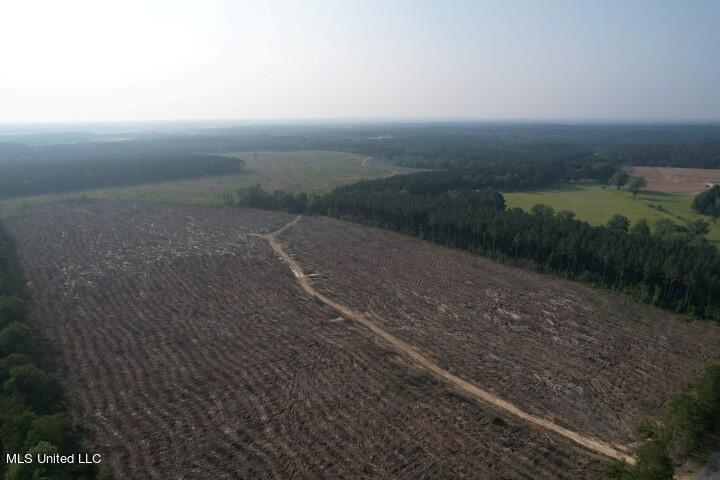 Barker Road, Pelahatchie, Mississippi image 5