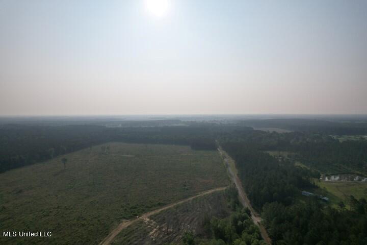 Barker Road, Pelahatchie, Mississippi image 10