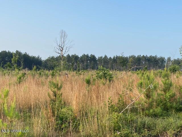 Barker Road, Pelahatchie, Mississippi image 15