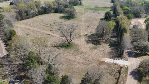 Vacant Land For Sale - Potluck Road<br/> Madison County, Canton, MS 39046