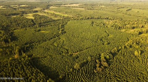 Vacant Land For Sale - Co Rd 4300<br/> Union, MS 39365
