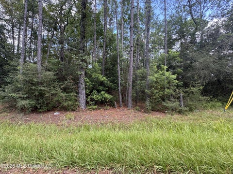Vacant Land For Sale - Sycamore Street<br/> Hancock County, Waveland, MS 39576