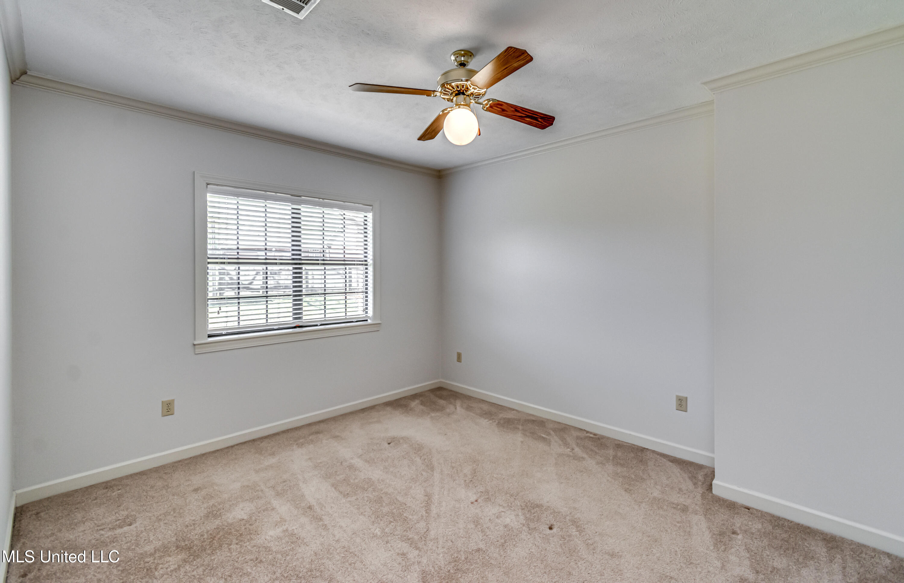 418 Louis Wilson Drive, Brandon, Mississippi image 36