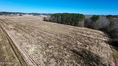 Vacant Land For Sale - 00 E Main Street<br/> Leake County, Carthage, MS 39051