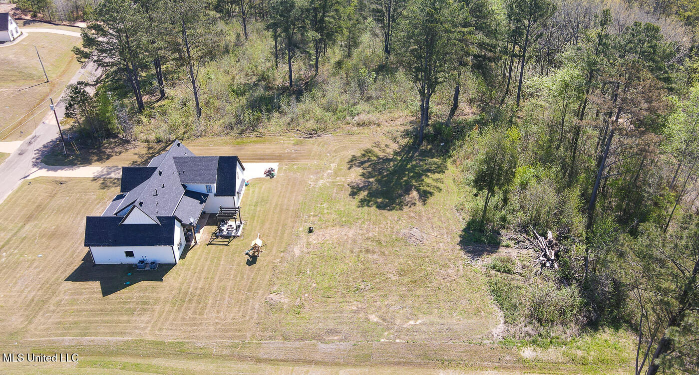 481 Poplar Lane, Holly Springs, Mississippi image 4