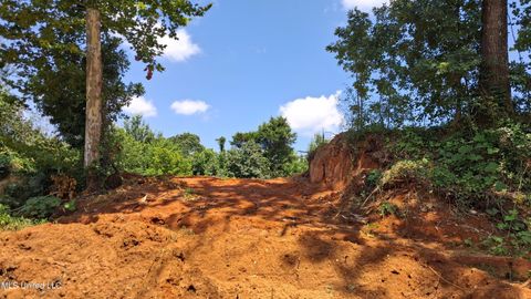 Vacant Land For Sale - Gray Academy Road<br/> Ashland, MS 38603