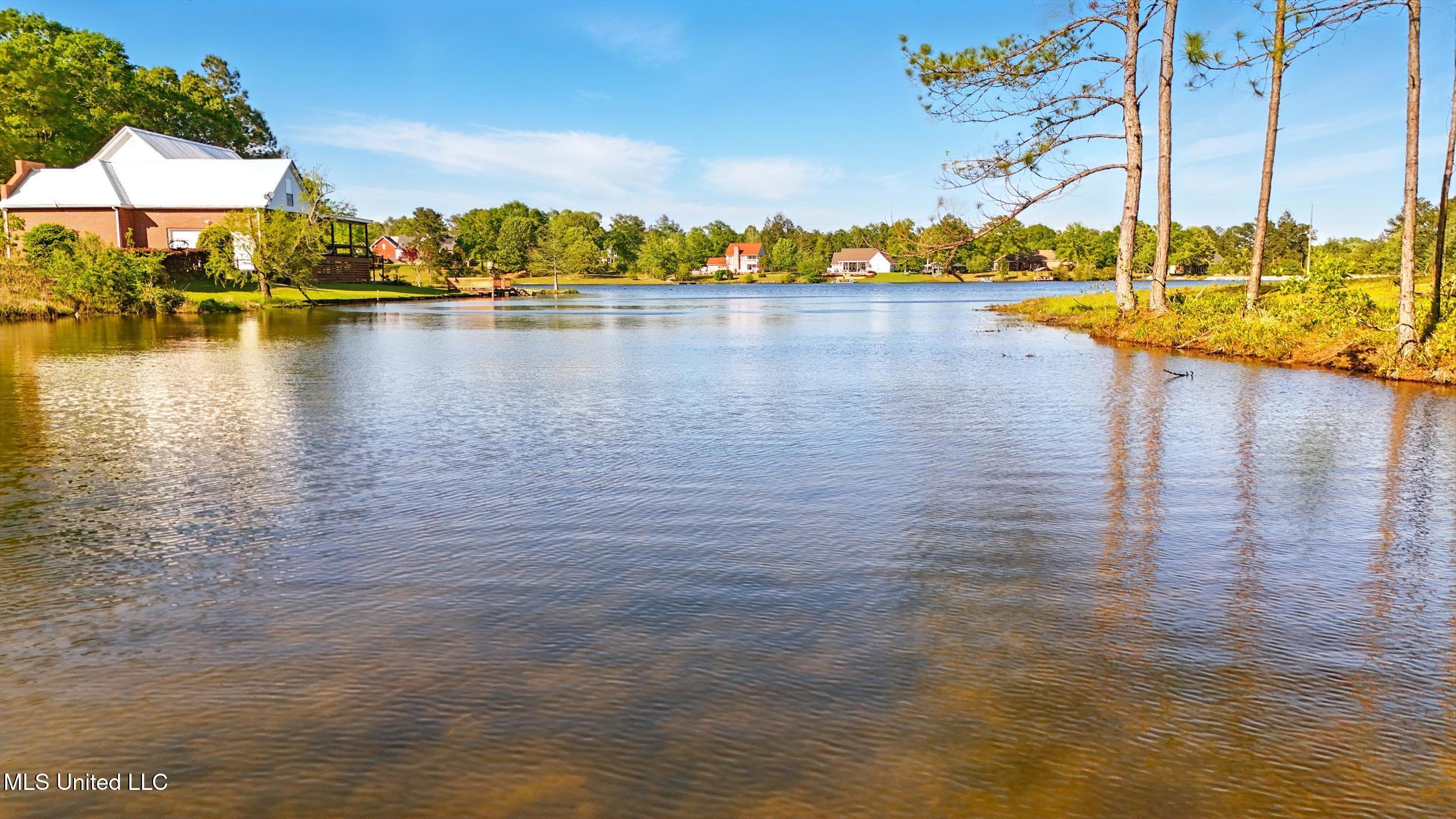 16 Lake Michael Lane, Poplarville, Mississippi image 30