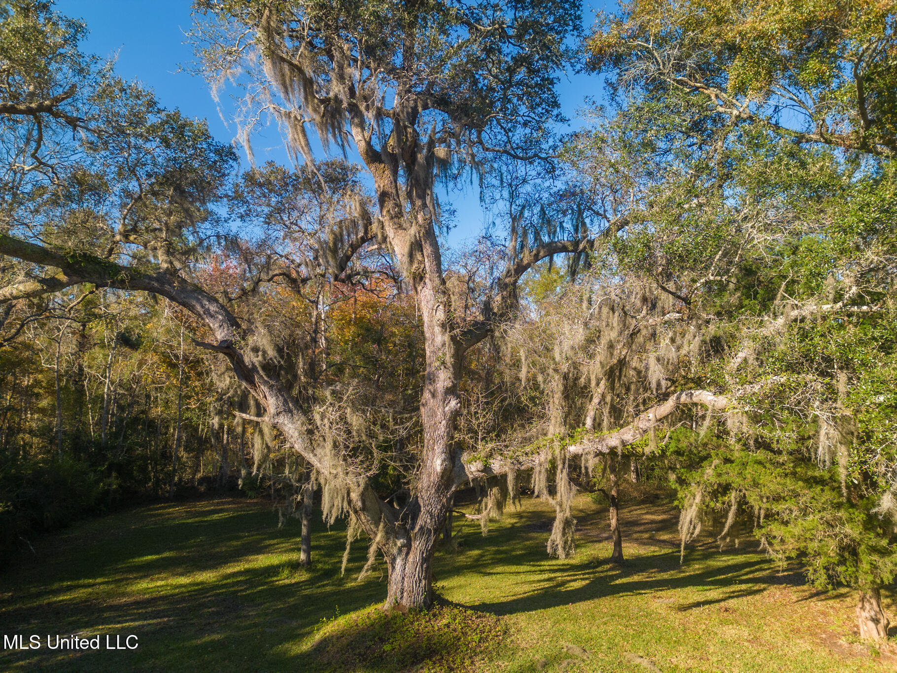 8015 Dazure Street, Bay Saint Louis, Mississippi image 19