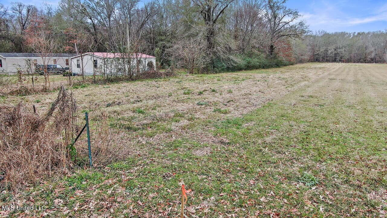 Brookville Road, Canton, Mississippi image 2