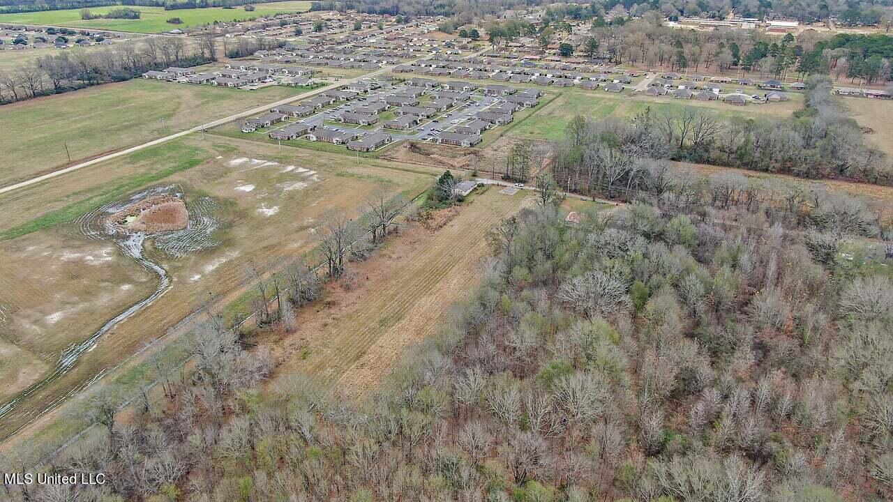 Brookville Road, Canton, Mississippi image 4