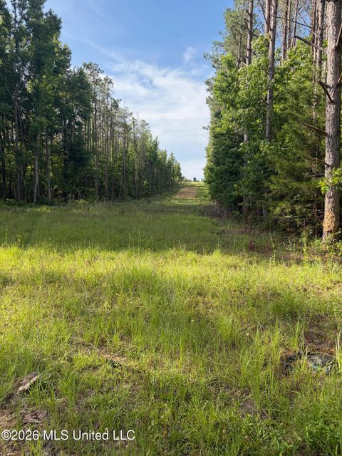 Vacant Land For Sale - County Road 159 Rd<br/> Coila, MS 38923