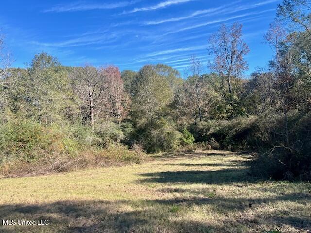 Ginn Road, Tylertown, Mississippi image 9