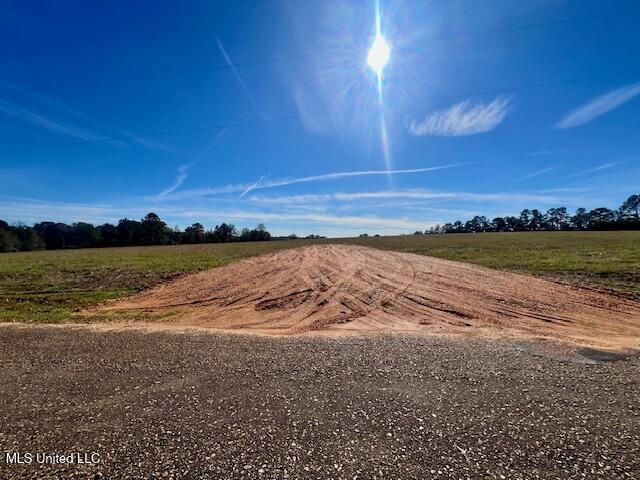 Ginn Road, Tylertown, Mississippi image 2