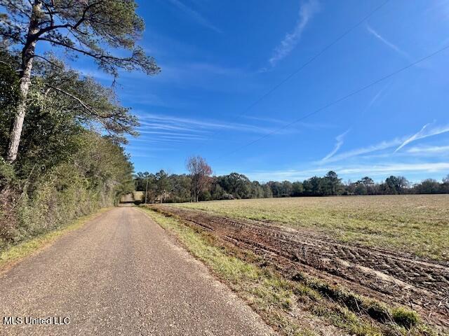 Ginn Road, Tylertown, Mississippi image 3