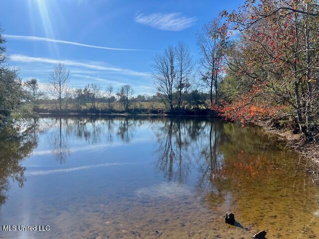 Ginn Road, Tylertown, Mississippi image 13