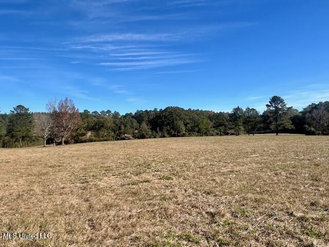 Ginn Road, Tylertown, Mississippi image 17