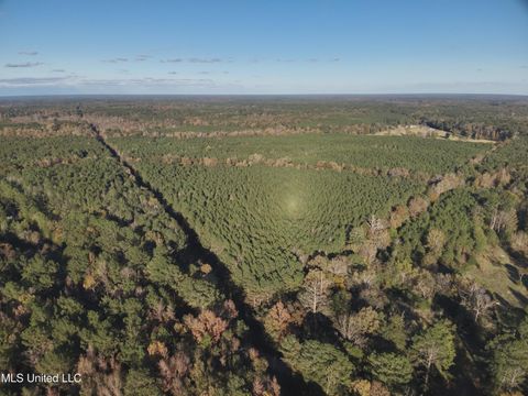 Vacant Land For Sale - Lot 2 Whiddon Road<br/> Canton, MS 39046