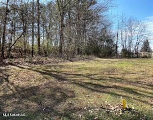 Carr Meadow Dr Drive, Ridgeland, Mississippi image 1