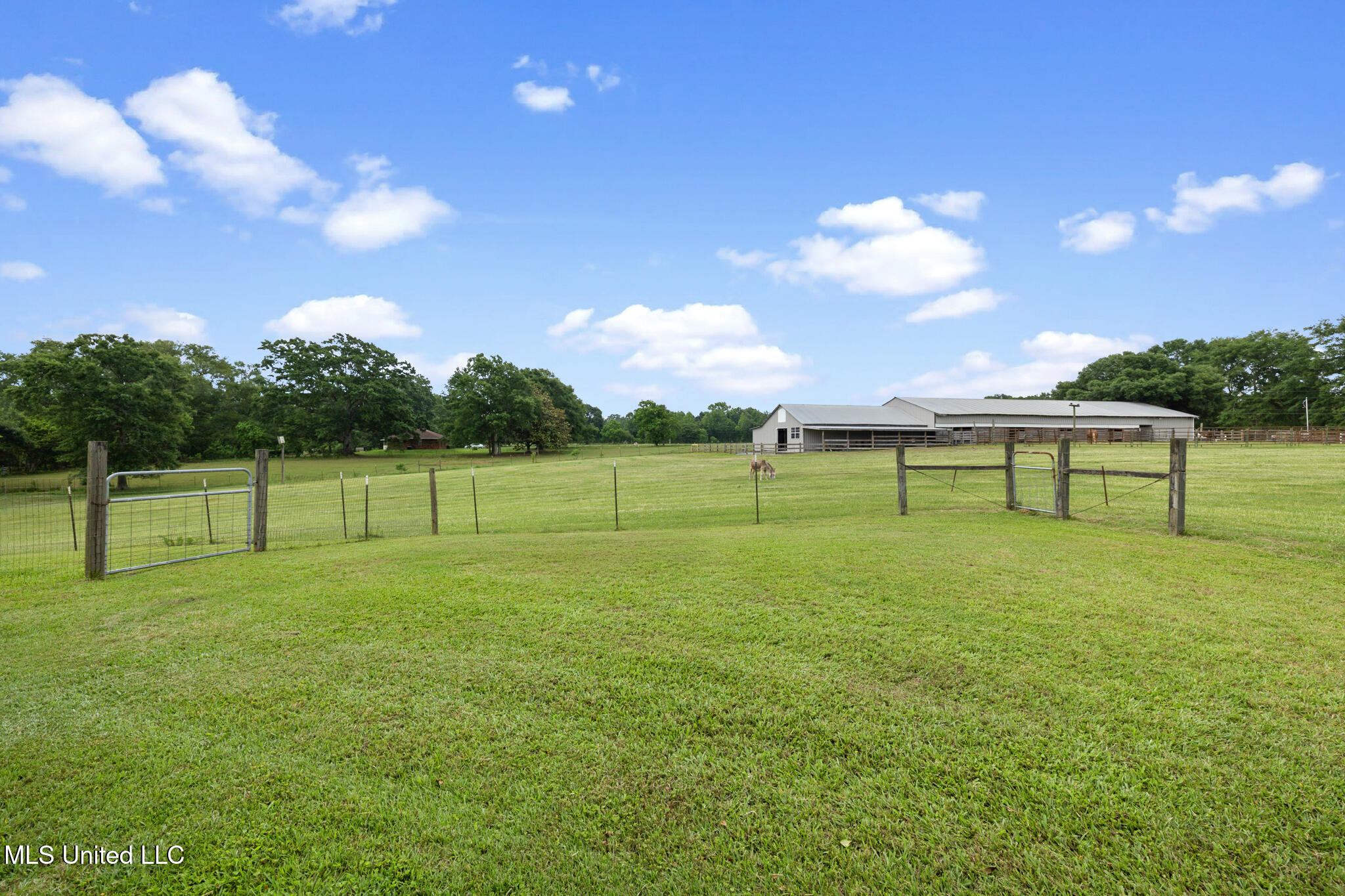 14 Caillet Lane, Carriere, Mississippi image 32