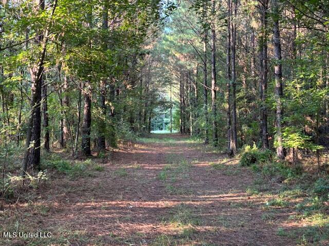 2697 Stampley Road, Fayette, Mississippi image 8