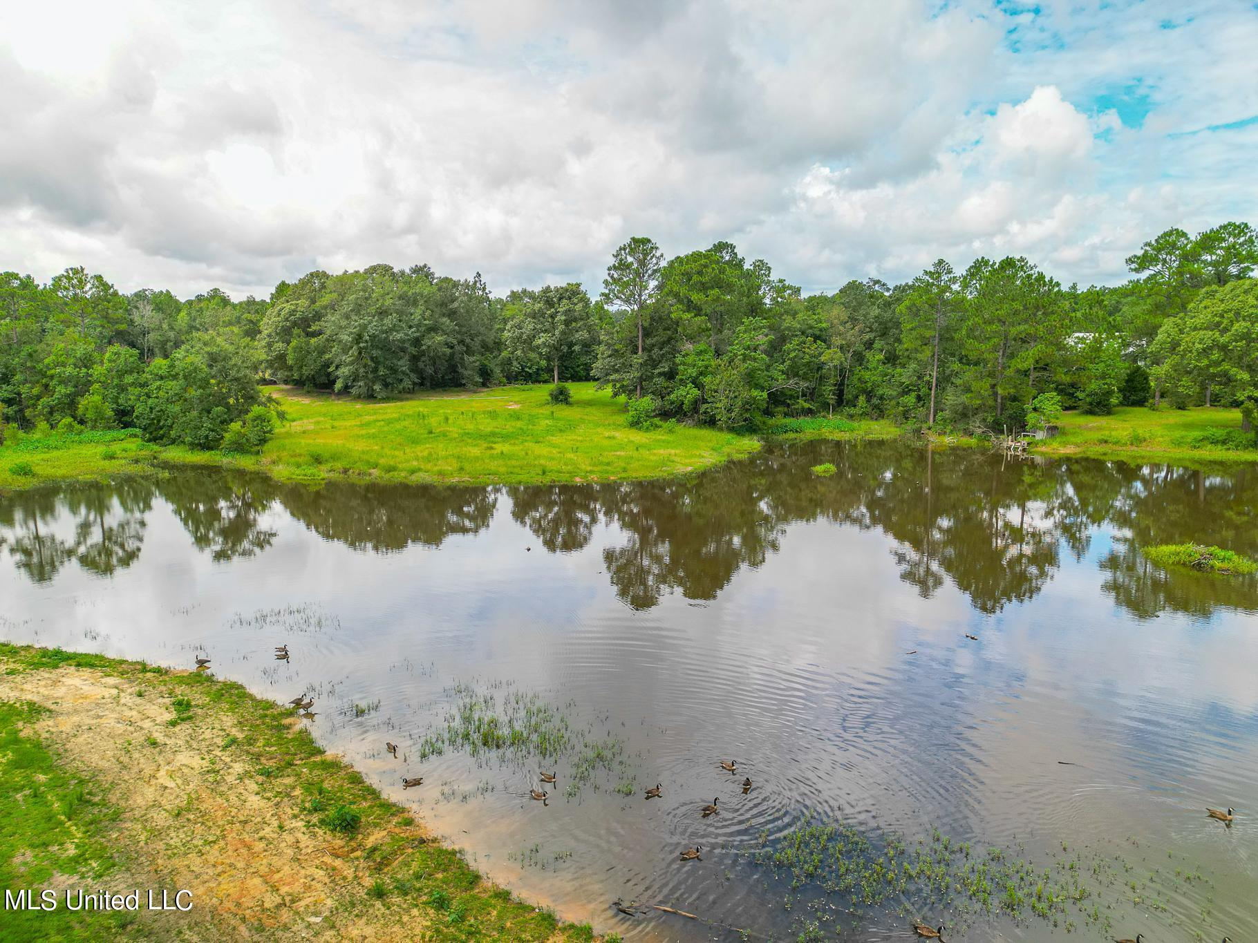 Fairway View Drive, Biloxi, Mississippi image 7