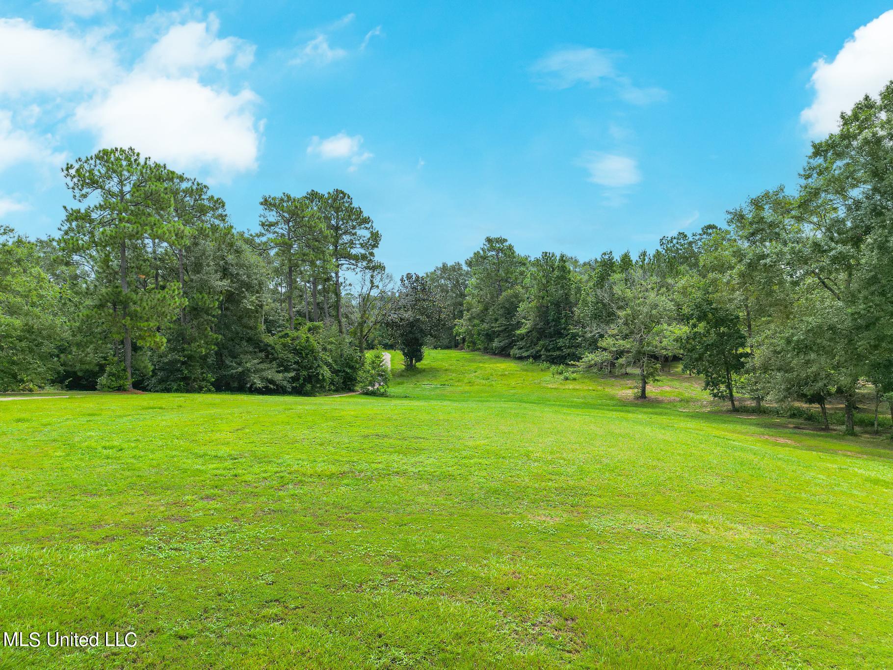 Fairway View Drive, Biloxi, Mississippi image 1