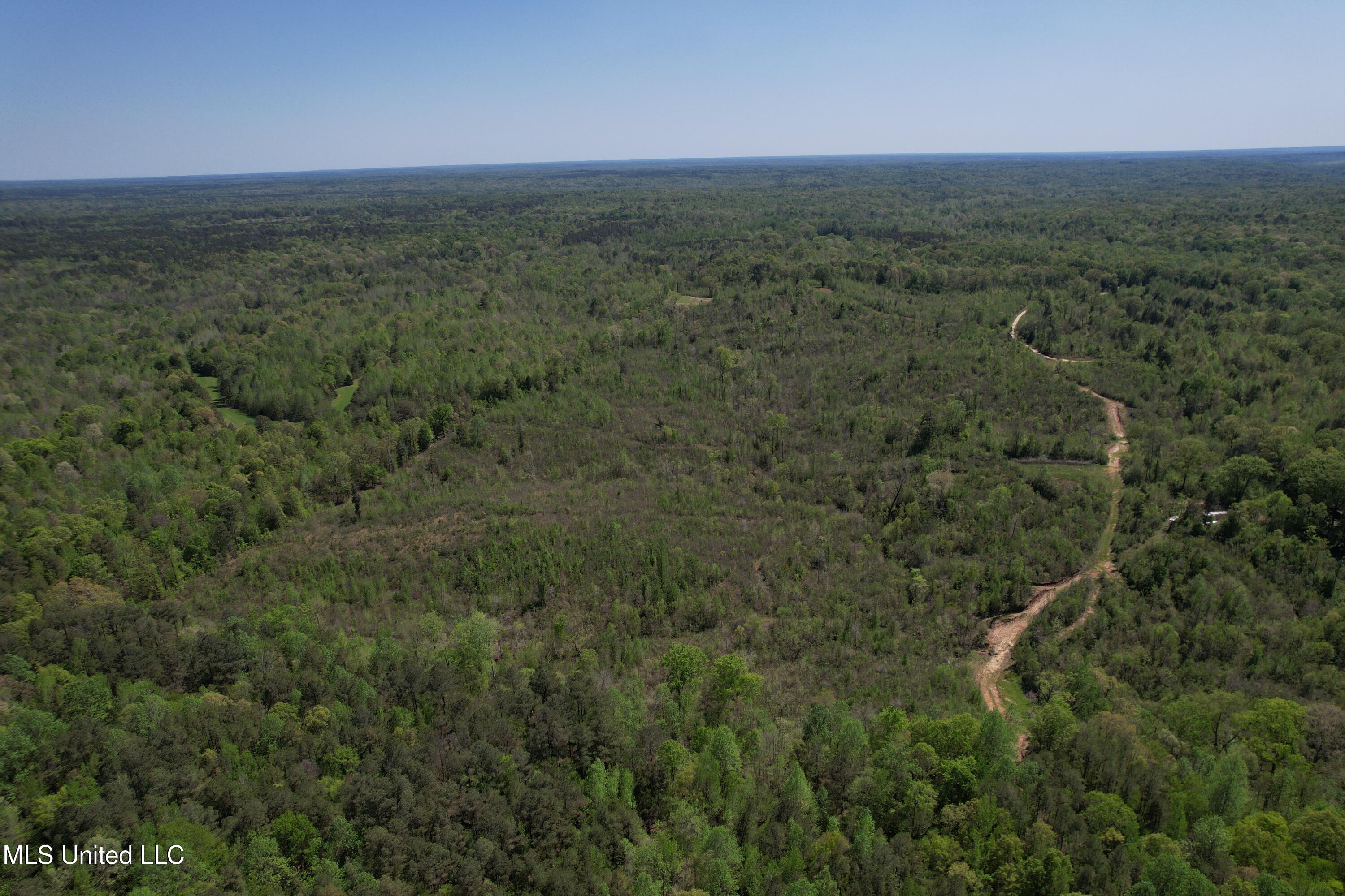 Holly Grove Meeks Road, Cruger, Mississippi image 3
