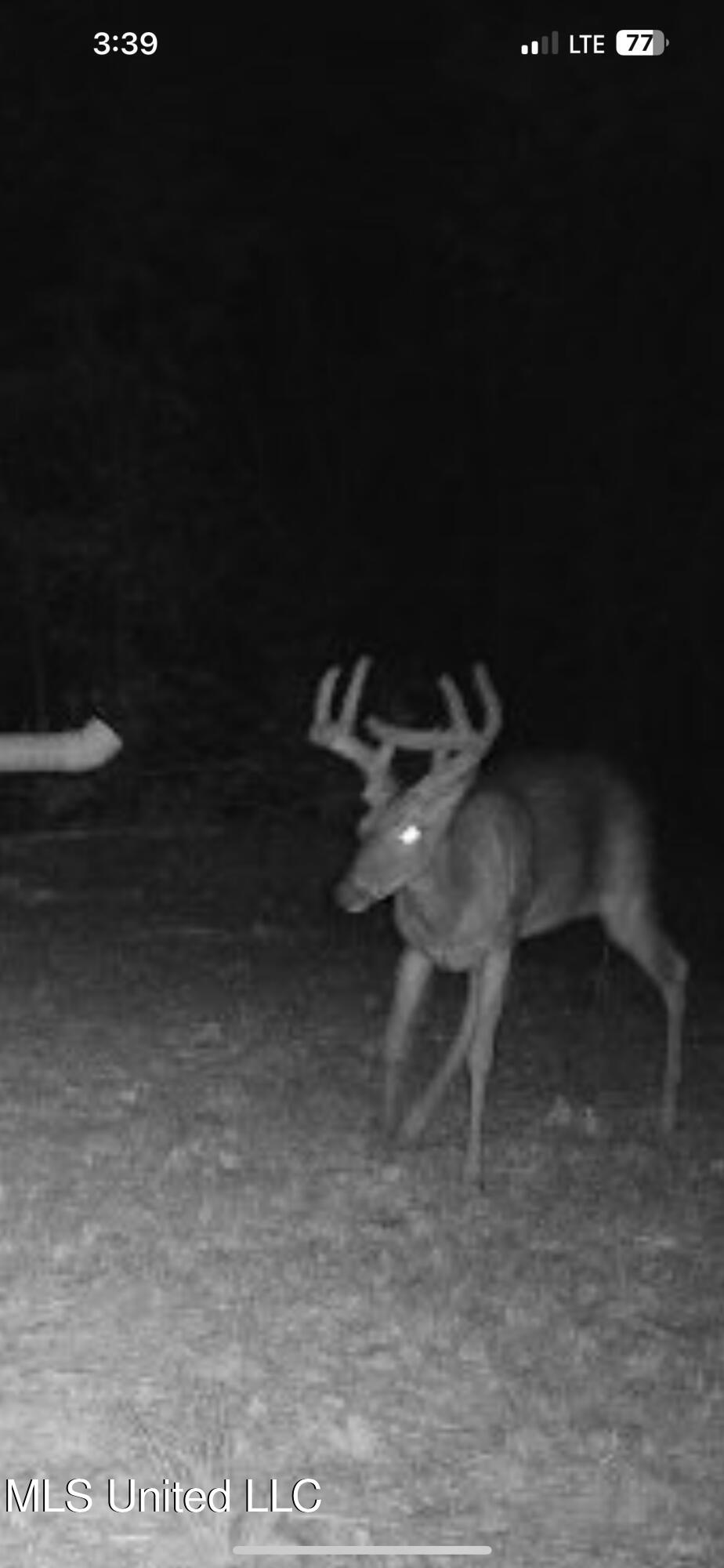 Holly Grove Meeks Road, Cruger, Mississippi image 43