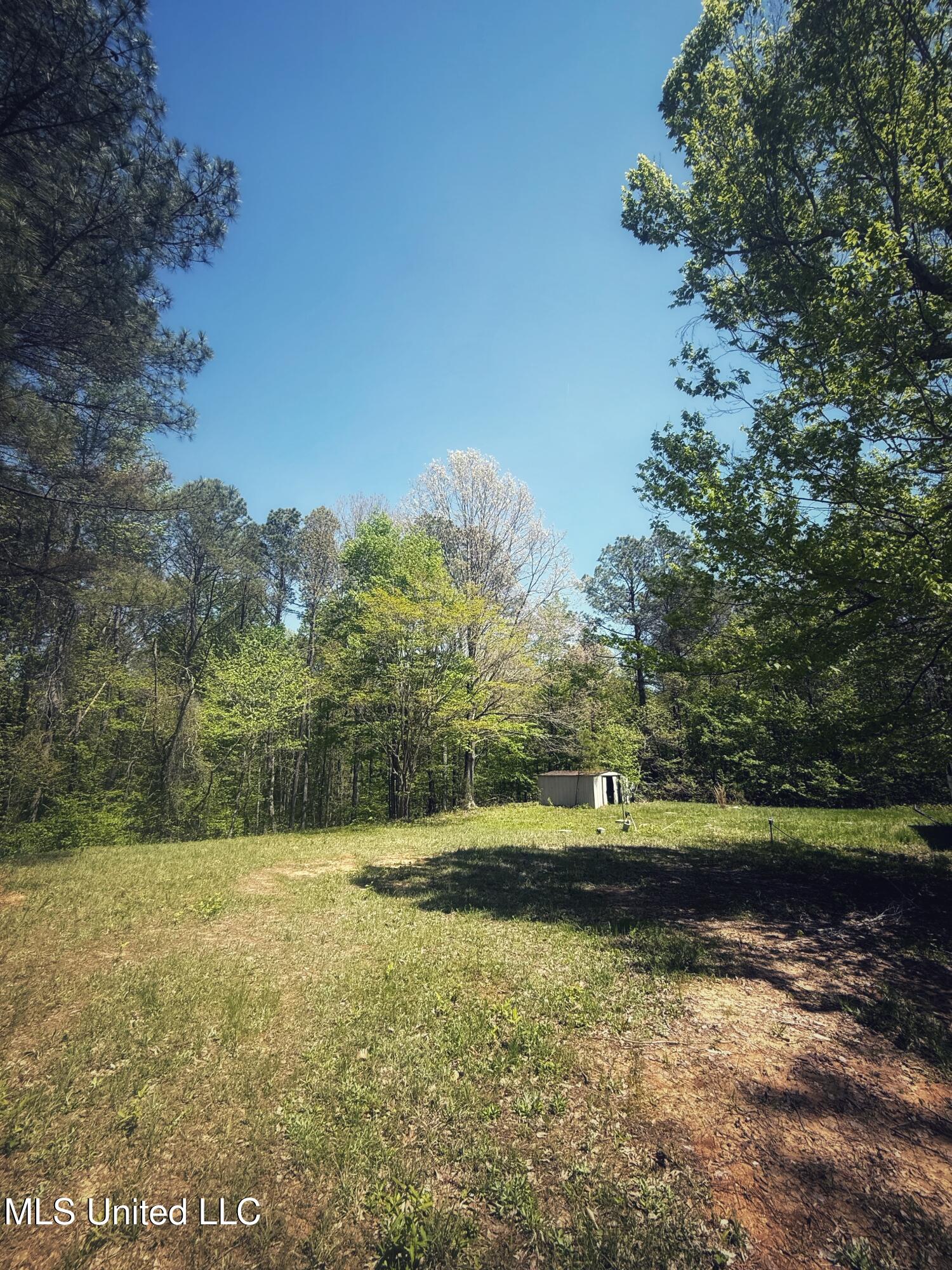 Holly Grove Meeks Road, Cruger, Mississippi image 22