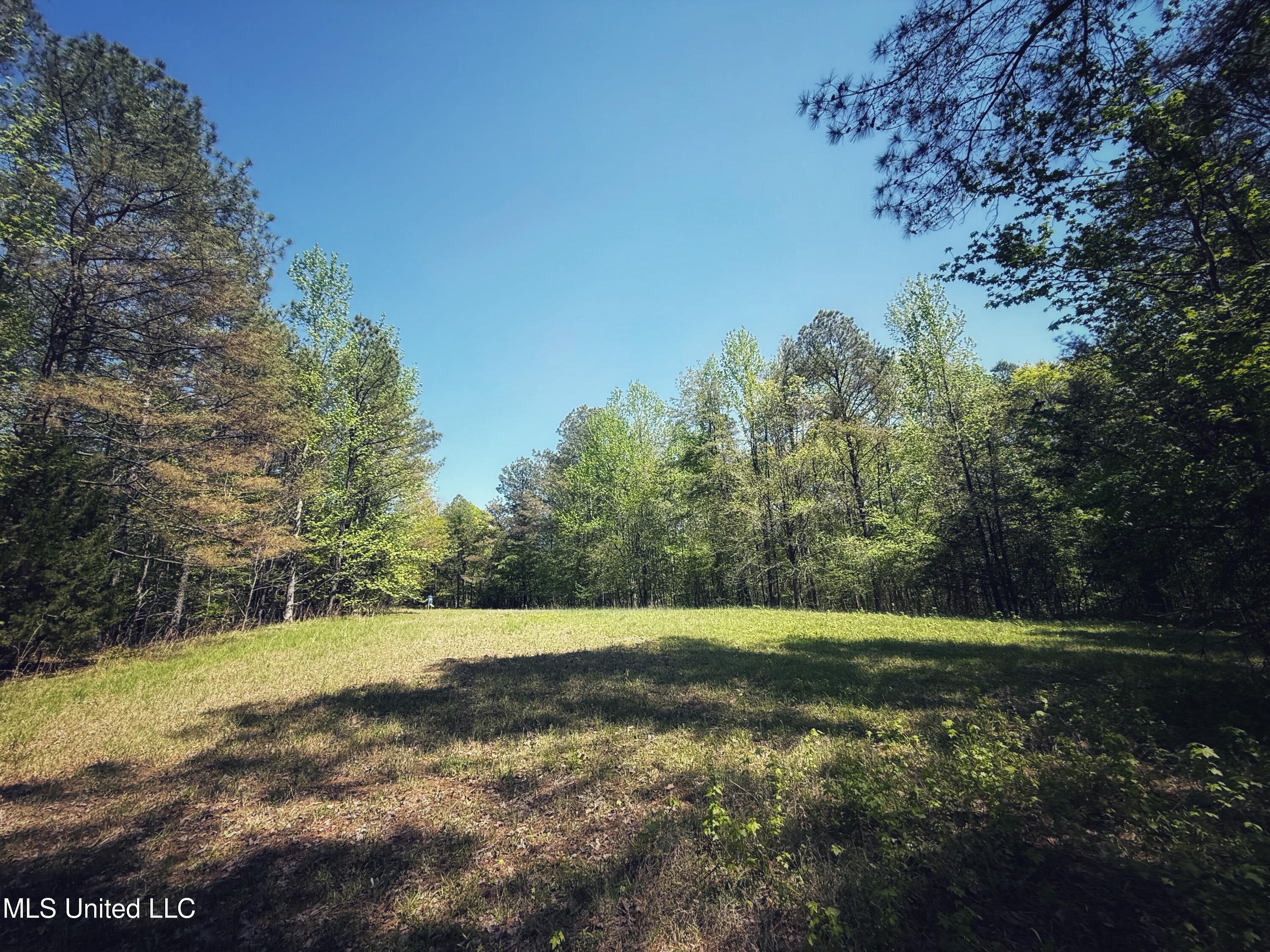 Holly Grove Meeks Road, Cruger, Mississippi image 34