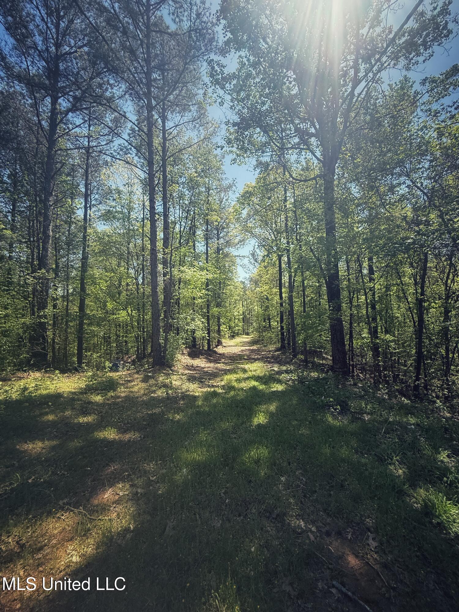 Holly Grove Meeks Road, Cruger, Mississippi image 25