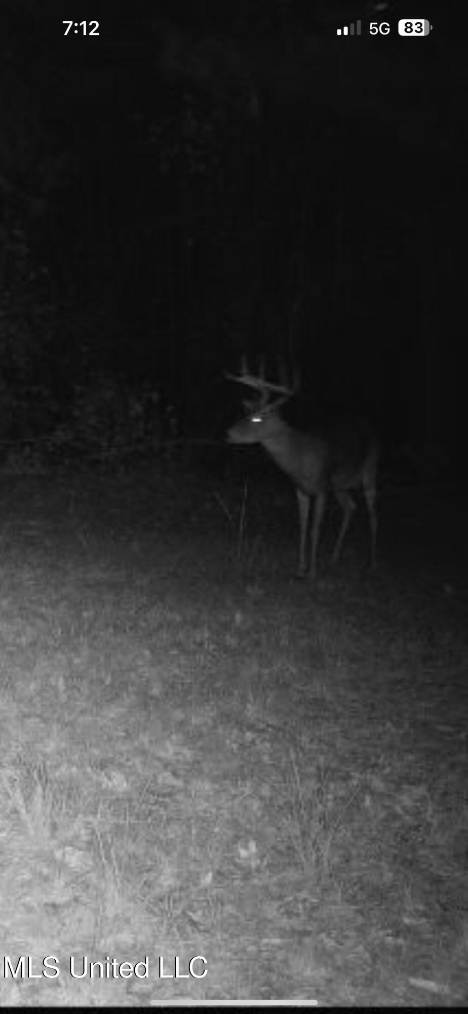 Holly Grove Meeks Road, Cruger, Mississippi image 41
