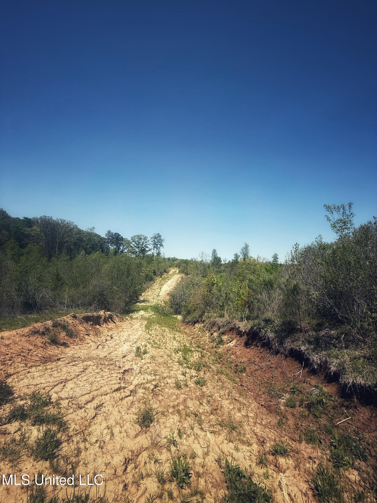 Holly Grove Meeks Road, Cruger, Mississippi image 23
