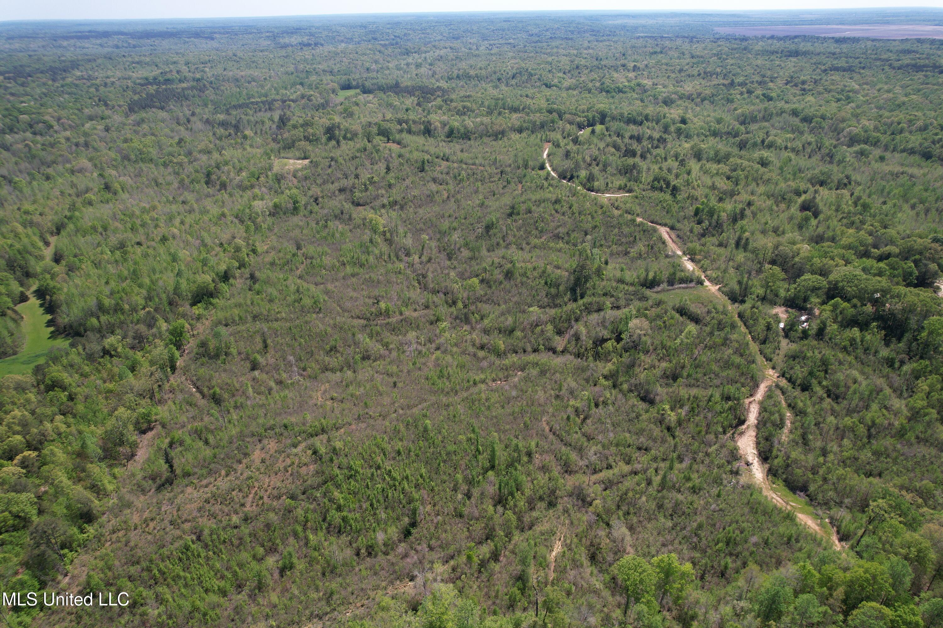Holly Grove Meeks Road, Cruger, Mississippi image 10