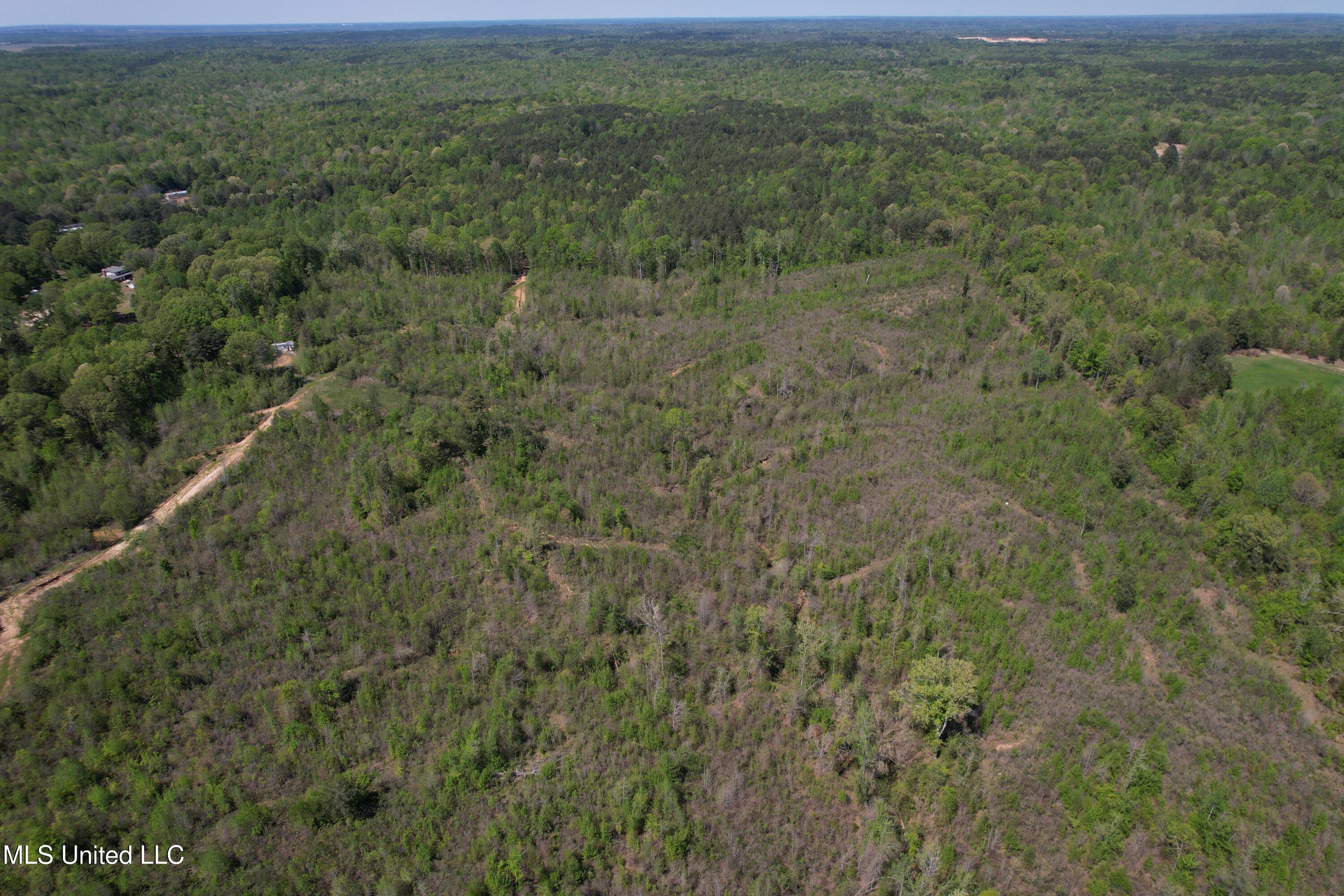 Holly Grove Meeks Road, Cruger, Mississippi image 6
