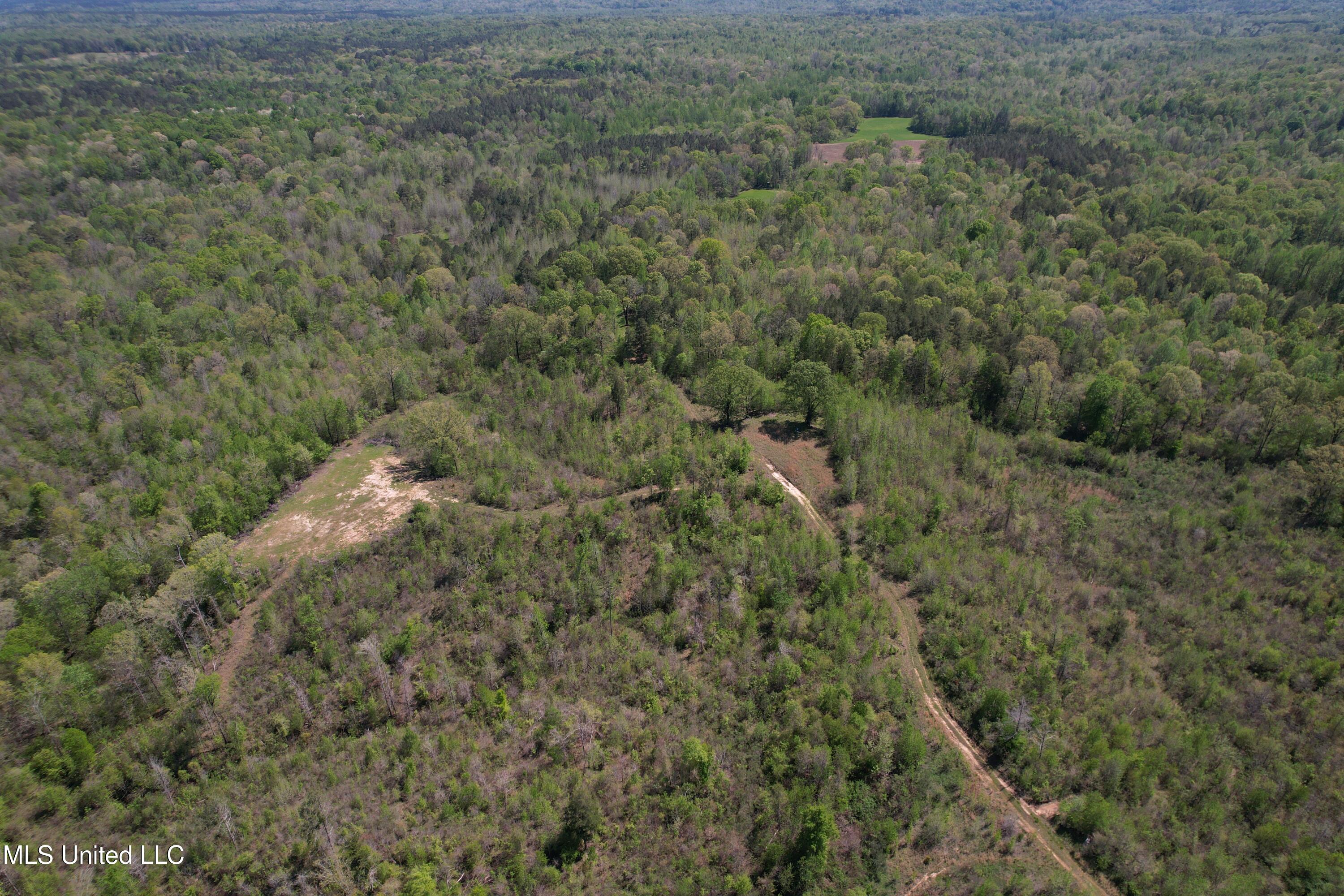 Holly Grove Meeks Road, Cruger, Mississippi image 5