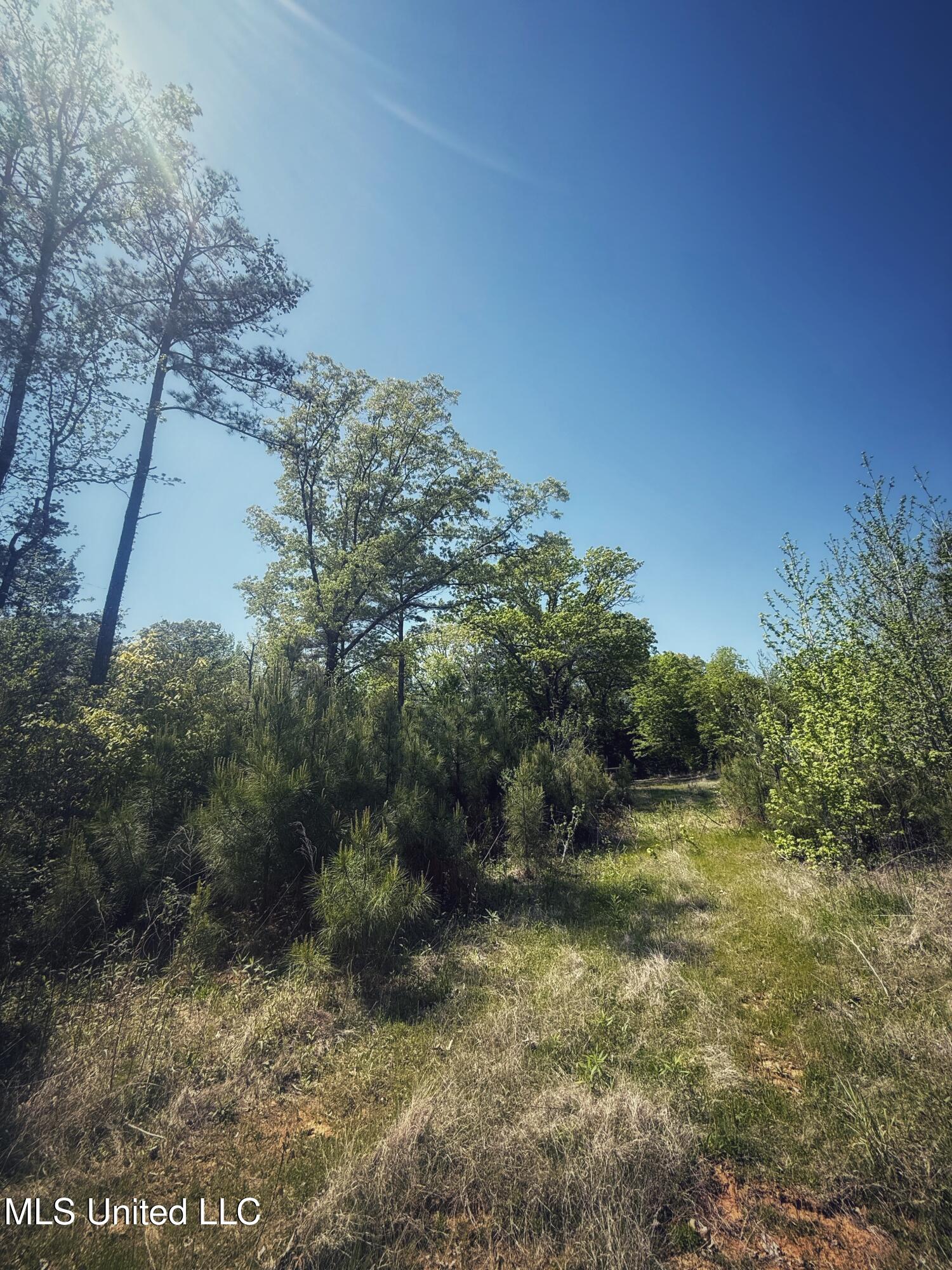 Holly Grove Meeks Road, Cruger, Mississippi image 18