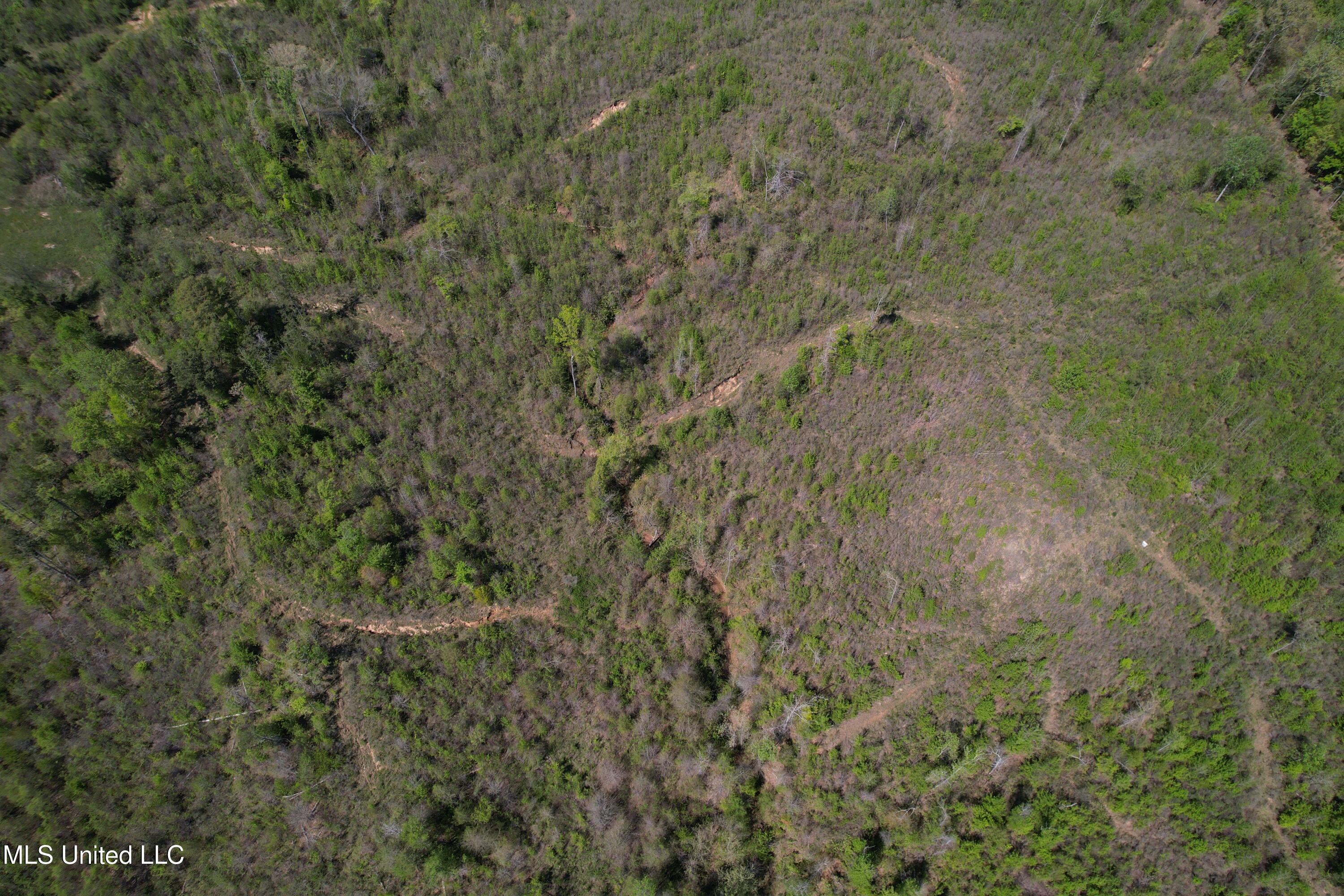 Holly Grove Meeks Road, Cruger, Mississippi image 7
