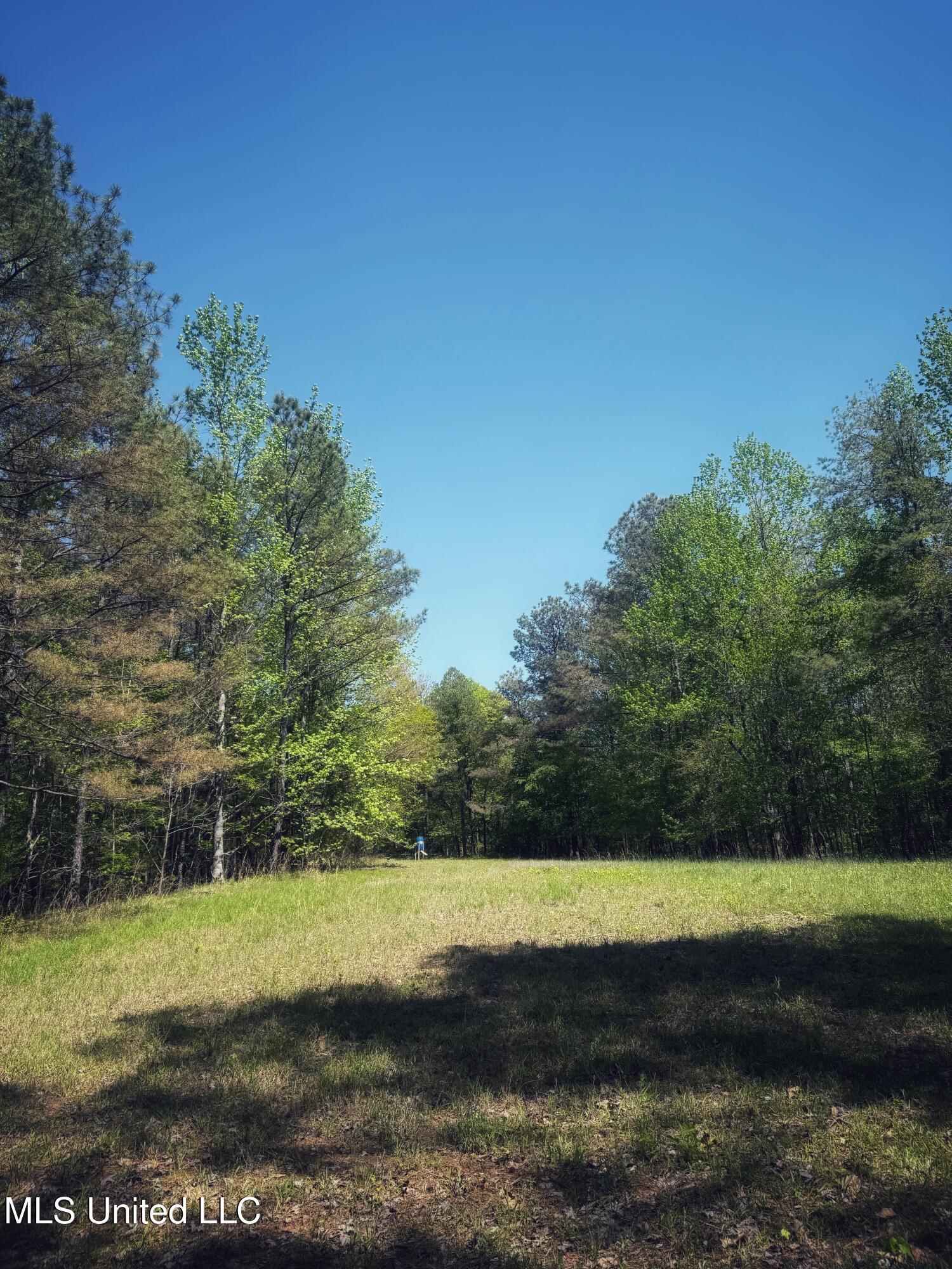 Holly Grove Meeks Road, Cruger, Mississippi image 32