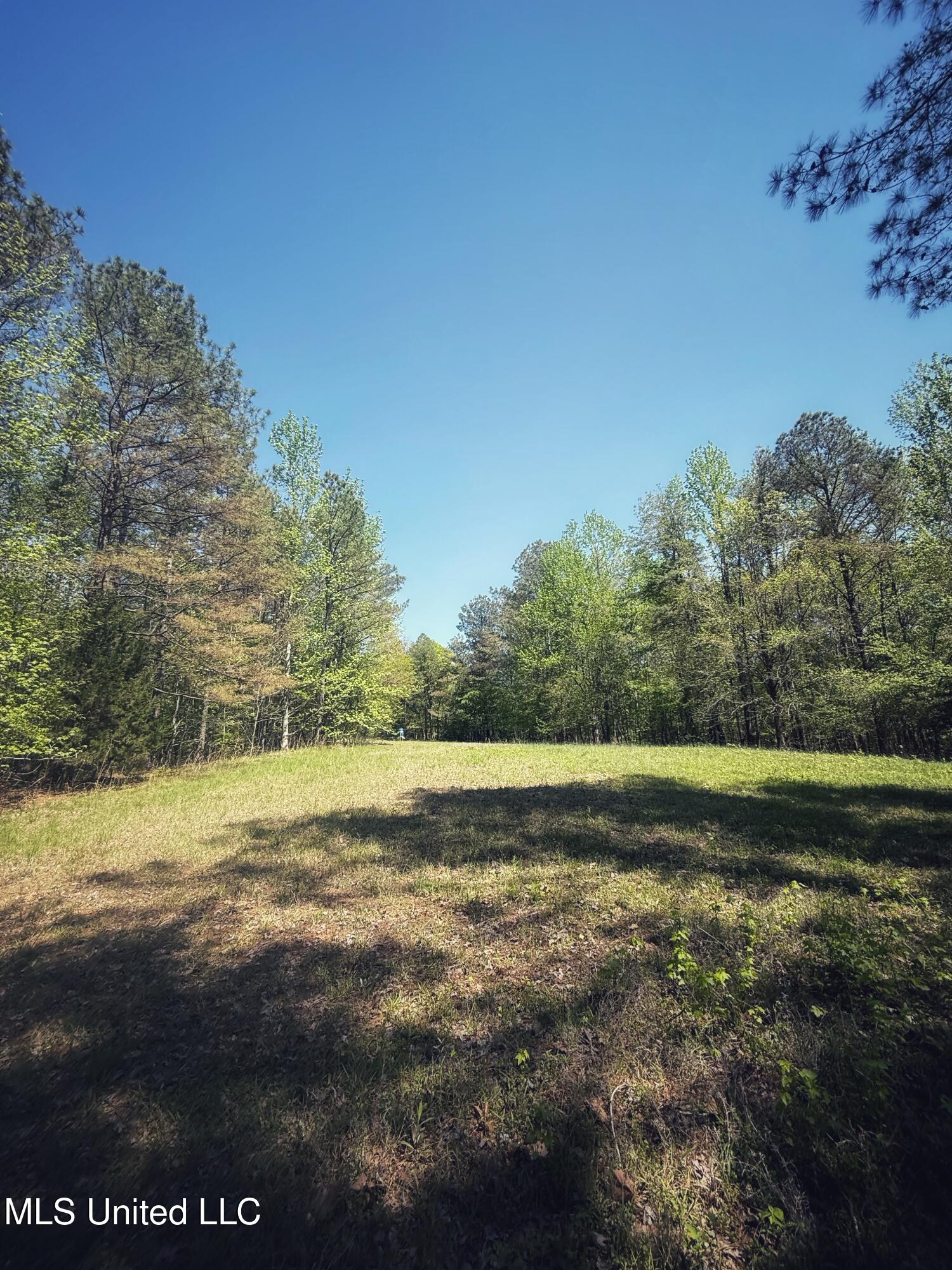 Holly Grove Meeks Road, Cruger, Mississippi image 33