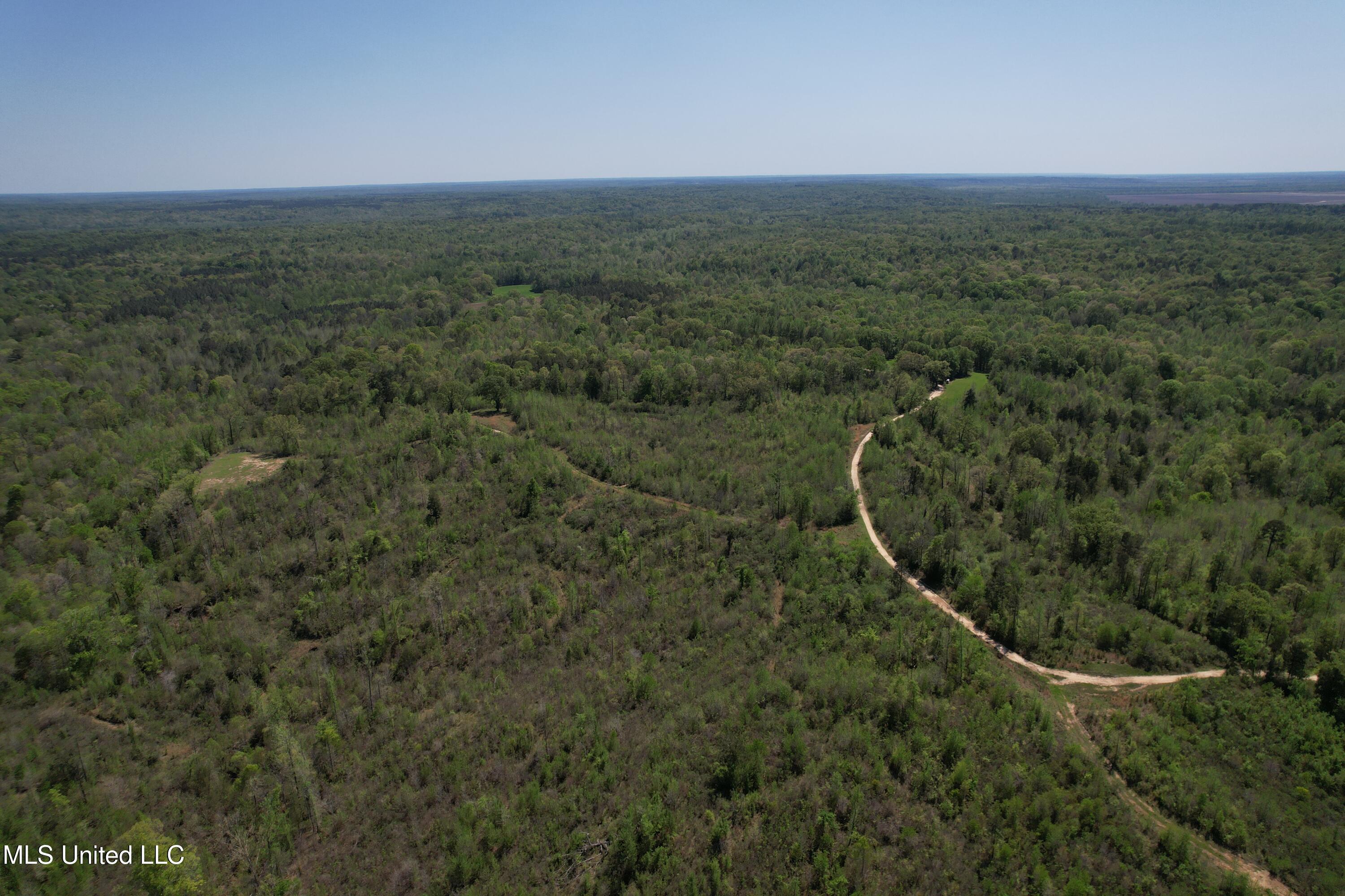 Holly Grove Meeks Road, Cruger, Mississippi image 4